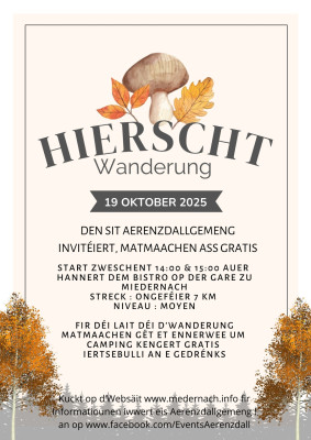 bulliwanderung 2025 1 bulliwanderung 2025 1